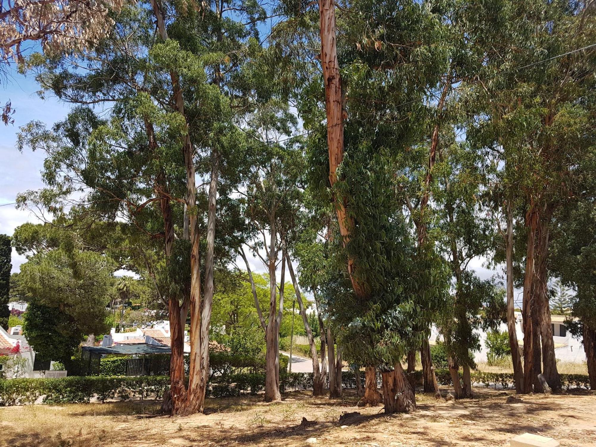 ホテル Balaia Gardens, Jardins Da Balaia アルブフェイラ エクステリア 写真